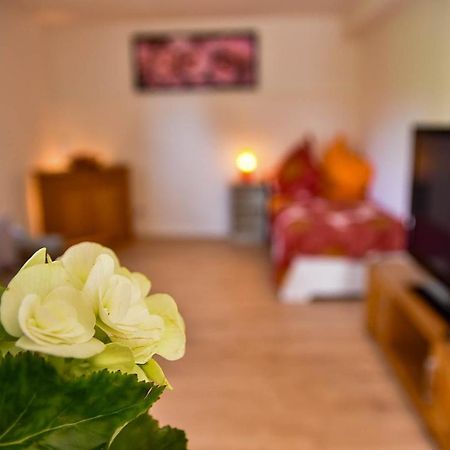 Wohnung Mit Wohlfuehlcharakter Idar-Oberstein Eksteriør bilde